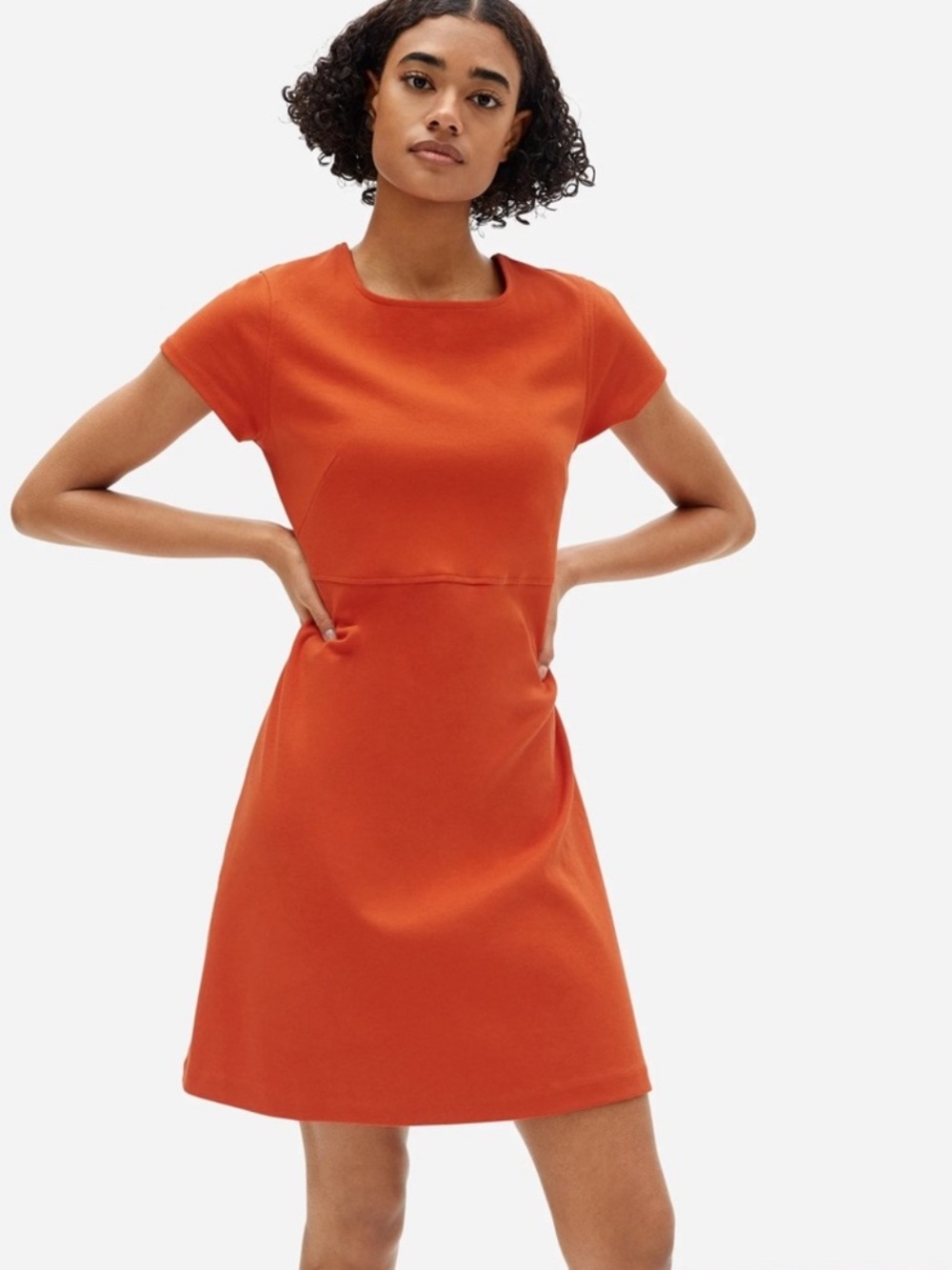 Everlane Party of One Orange Dress Short Sleeve Ponte Stretch